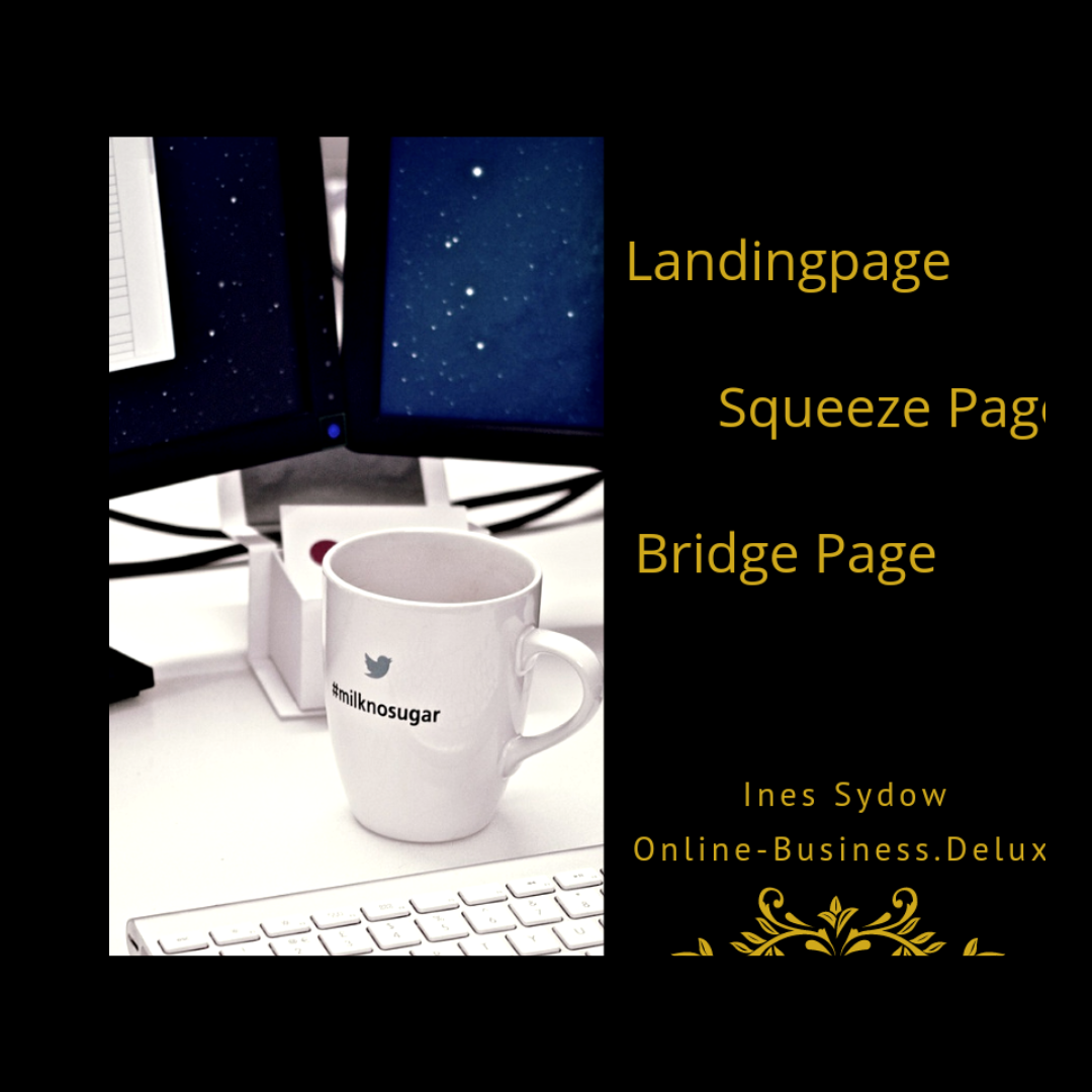 Landingpage Squeeze Page Bridge Page