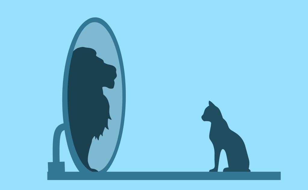 eine Katze sitzt vor einem Spiegel und das Spiegelbild ist ein stolzer Löwe